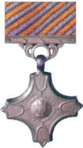 vayu-sena-medal